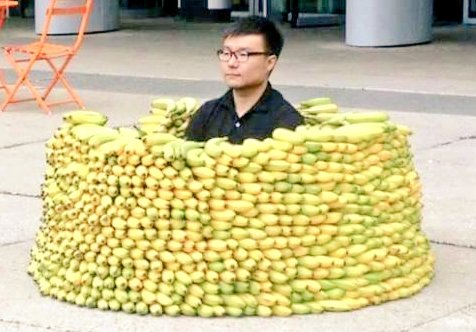 Banana fort.jpg